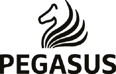 Pegasus